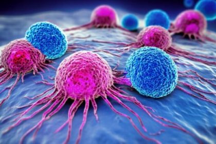 evaluating-immunotherapy-success-rates:-insights-from-the-latest-research