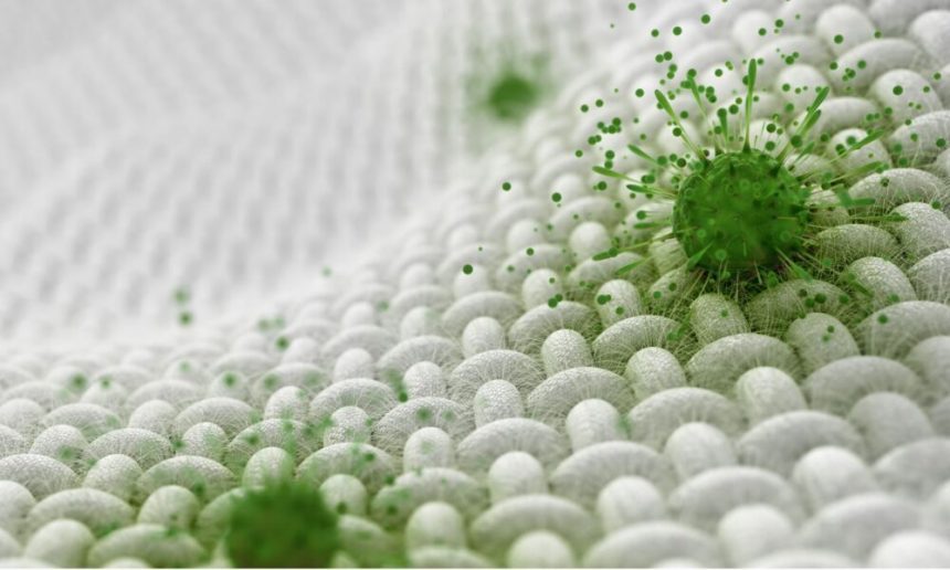 are-antimicrobial-additives-the-future-of-cleanliness-and-hygiene?