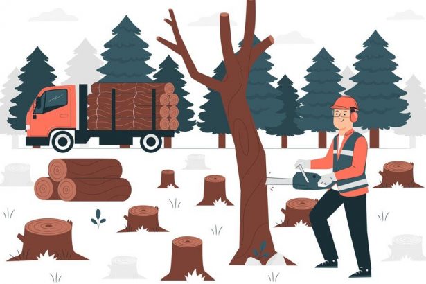 using-lumber-for-uses-other-than-construction-projects